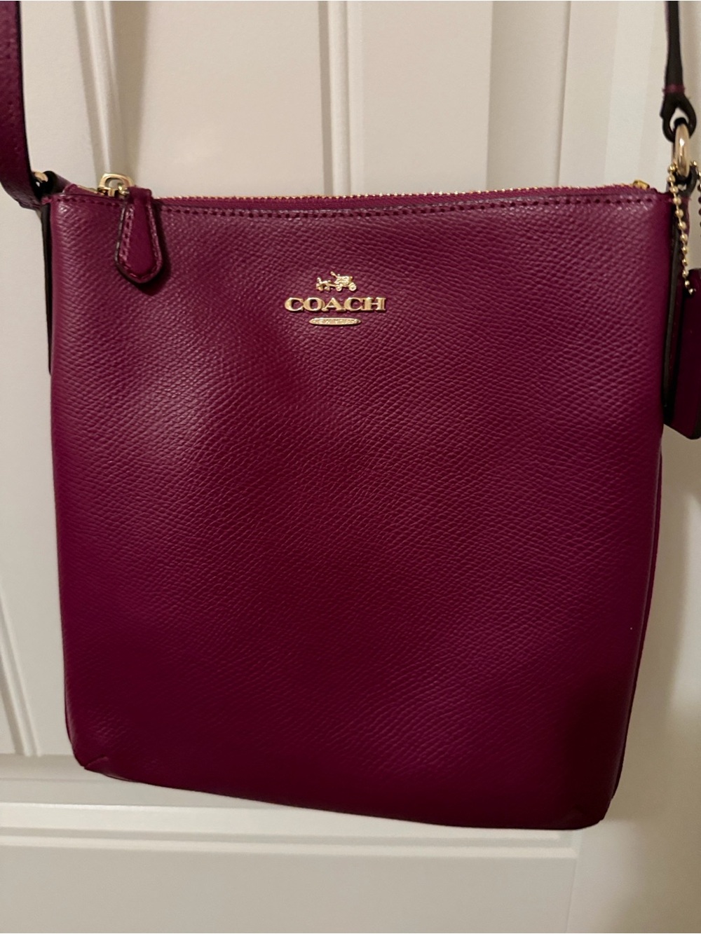Coach Crossgrain Leather North South Crossbody Bag in Berry